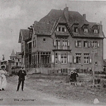 De Gouden Haan