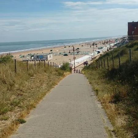 De Gouden Haan