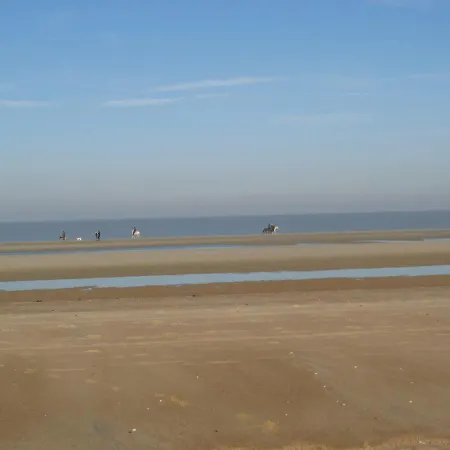De Gouden Haan